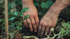 Curso de análise do microbioma do solo em setembro