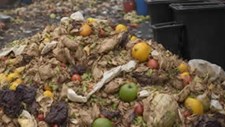 Estratégia para desperdício alimentar em consulta pública até ao final do mês