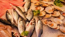 EFSA confirma preocupação de saúde pública associada à exposição alimentar a dioxinas e PCB semelhantes às dioxinas
