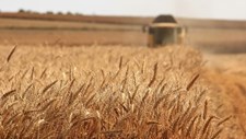 Ministros da Agricultura reúnem em Copenhaga de 7 a 9 de setembro