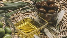 Novo azeite produzido com base em economia circular