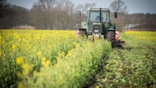 Vão abrir candidaturas para pequenos investimentos agrícolas
