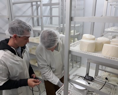 Queijos: o projeto CFD4CHEESE
