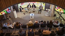 Setor hortofrutícola cresce, mas ainda enfrenta desafios