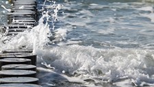 Toxinas marinhas em Portugal e efeitos na saúde humana