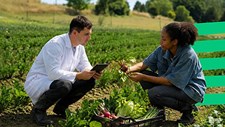 UE lança estratégia para acelerar inovação agroalimentar