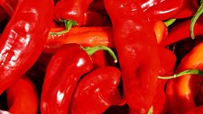Valorização de subprodutos de pimentos picantes como conservantes naturais em produtos alimentares