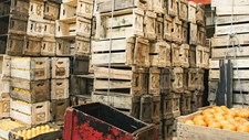 Webinar sobre exportação de alimentos para os EUA