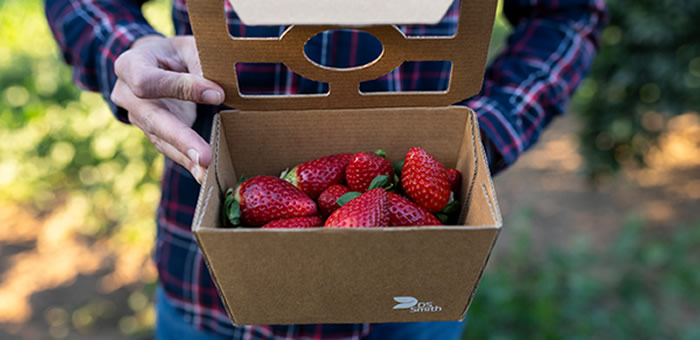 DS Smith apresenta soluções para embalagens hortofrutícolas