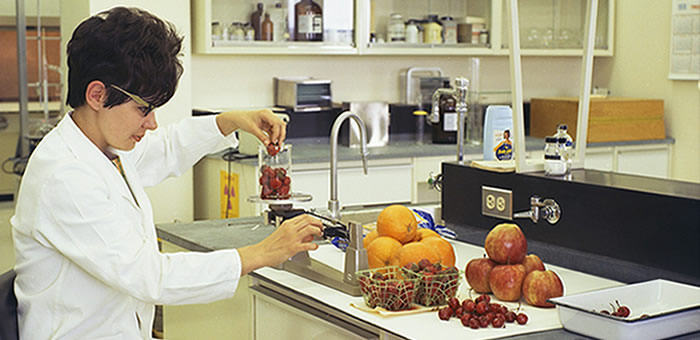 EFSA apoia PME nos pedidos de novos alimentos