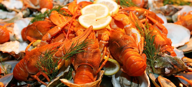 Alergénios dos crustáceos e reatividade com insetos comestíveis