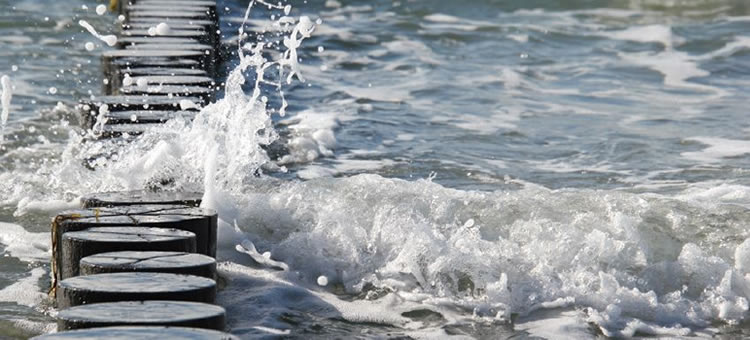 Toxinas marinhas em Portugal e efeitos na saúde humana