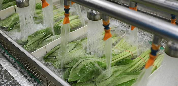 Plasma frio reforça segurança dos alimentos de origem vegetal