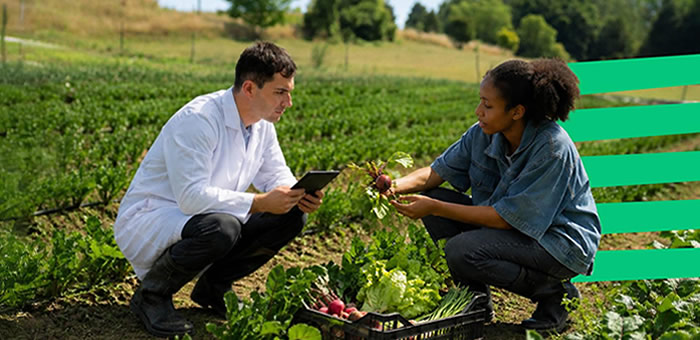 UE lança estratégia para acelerar inovação agroalimentar