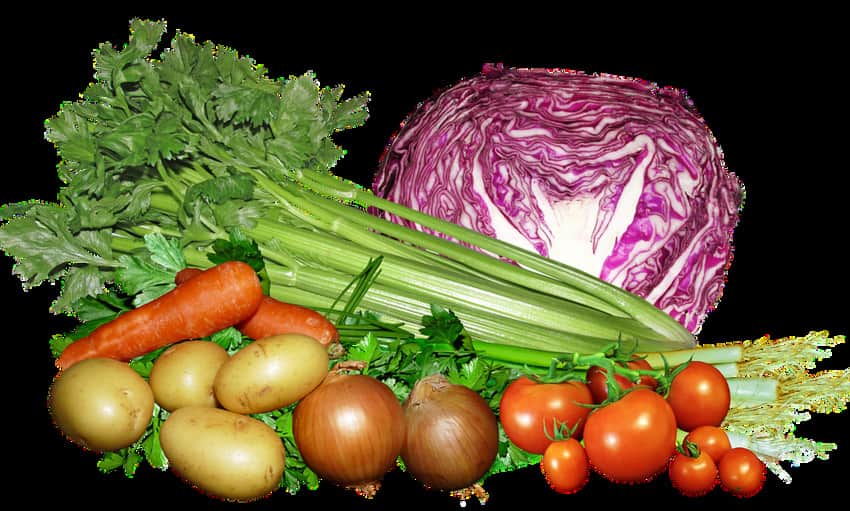 alimentos