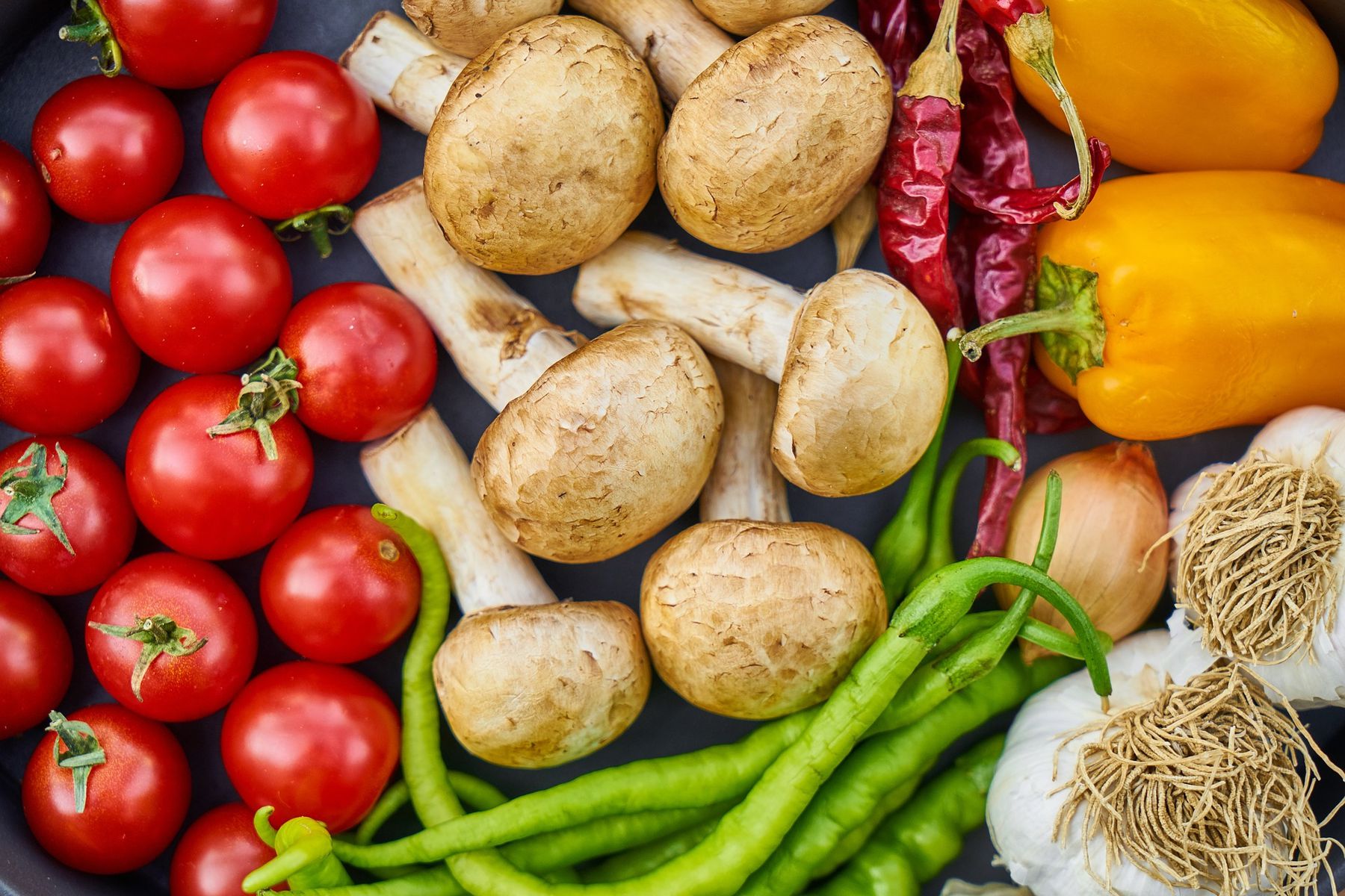 Alimentação