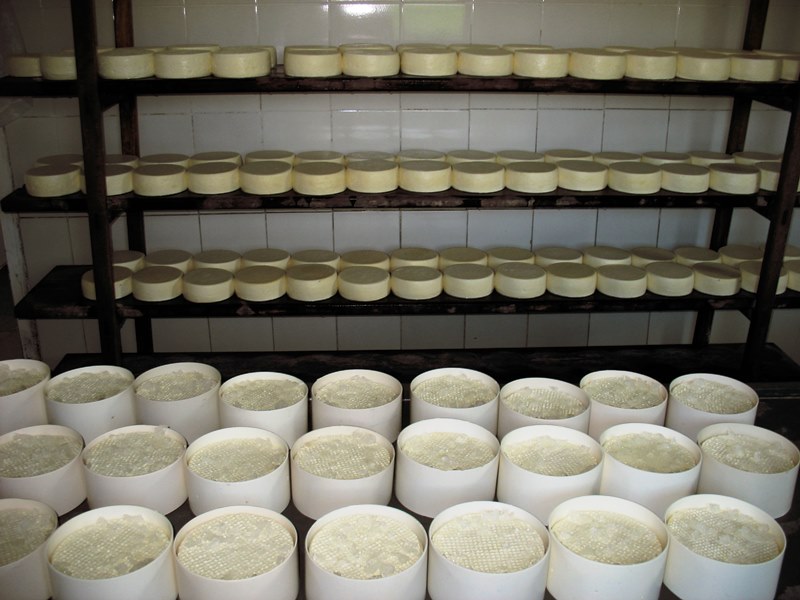 Queijo