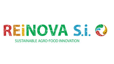 ReinovaSi